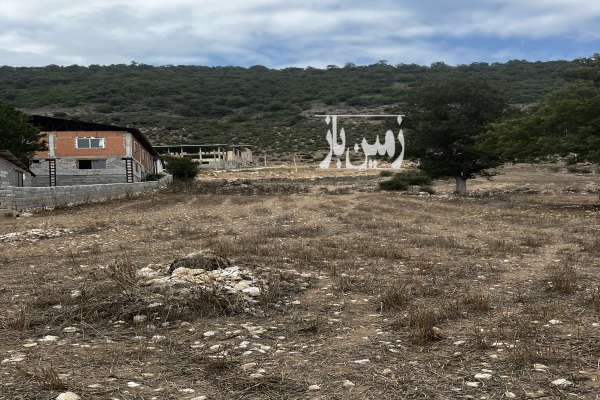 زمین ۲۵۰۰ متر فریم روستای امام زاده علی-1