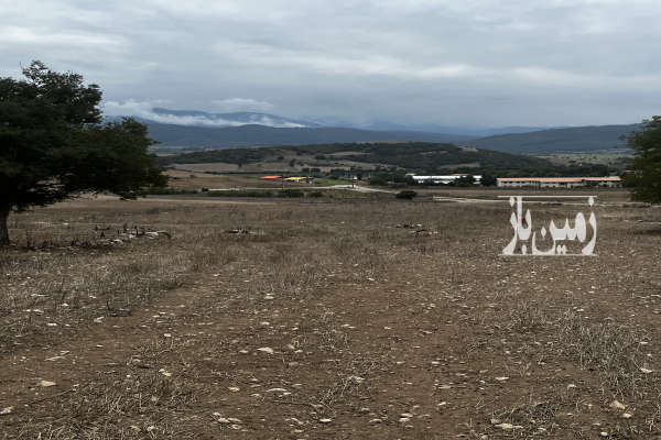 زمین ۲۵۰۰ متر فریم روستای امام زاده علی-2