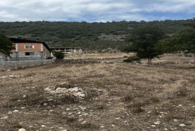 زمین ۲۵۰۰ متر فریم روستای امام زاده علی