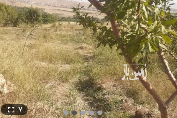 زمین ۱۴۴۰دارای سند و ۱۸۰ نهال بادام و سهمیه اب-1