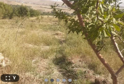 زمین ۱۴۴۰دارای سند و ۱۸۰ نهال بادام و سهمیه اب