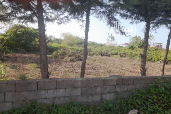 زمین مسکونی و قابل ساخت چالوس خط هشت ۲۰۰ متر-1