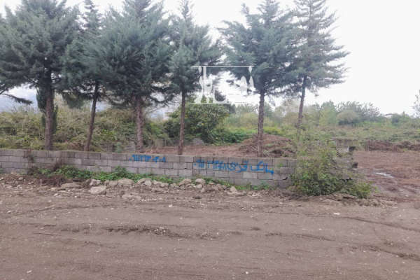 زمین مسکونی و قابل ساخت چالوس خط هشت ۲۰۰ متر-2