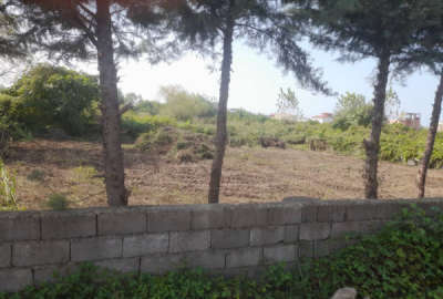 زمین مسکونی و قابل ساخت چالوس خط هشت ۲۰۰ متر