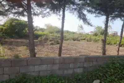 زمین مسکونی و قابل ساخت چالوس خط هشت ۲۰۰ متر