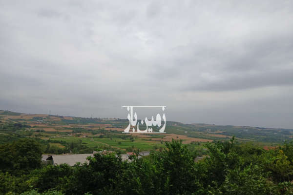 زمین باغی ۵۵۰ متر مازندران میاندرود لالیم-2