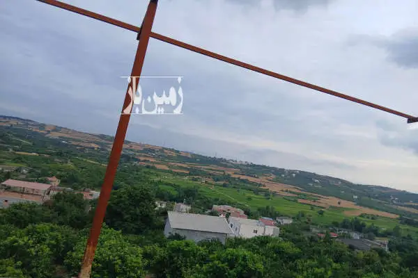 زمین باغی ۵۵۰ متر مازندران میاندرود لالیم - تصویر 4