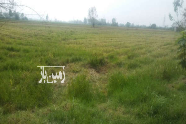 زمین کشاورزی در محمودآباد روستای گیلاپی ۴۱۱۳ متر-4