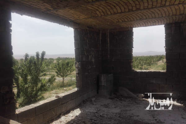 باغ پسته و بادام سند دار روستای سعداباد ۲۵۰۰ متر-3