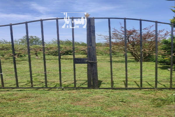 زمین ۱۵۰۰ متر رودسر حسن سرا گیلاکجان-1