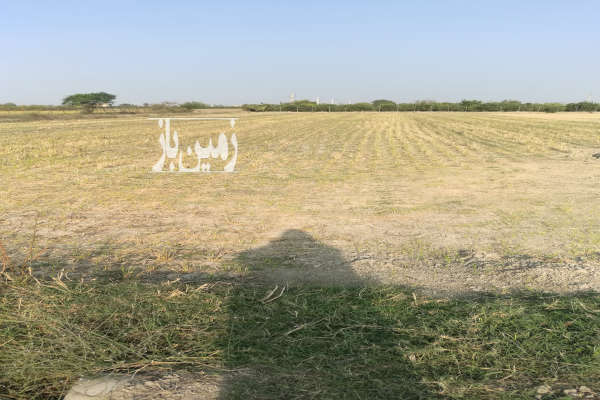 زمین شالیزاری ساری روستای خرم اباد ۱۹۰۰ متر-1