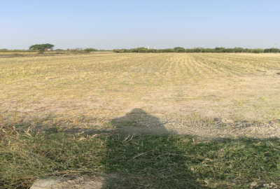 زمین شالیزاری ساری روستای خرم اباد ۱۹۰۰ متر