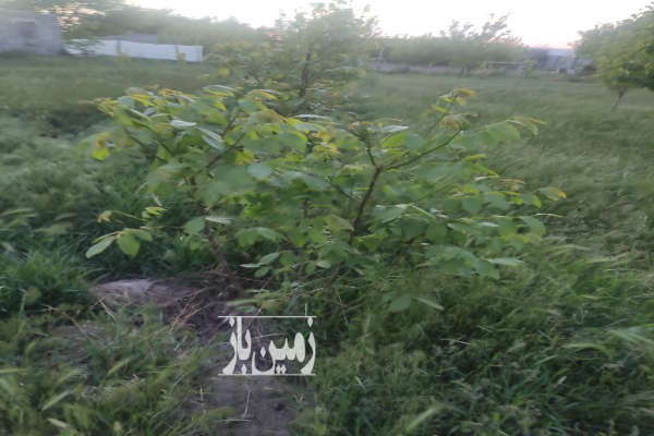 زمین ویلایی ۶۳۵ متر در روستای جانقور-2