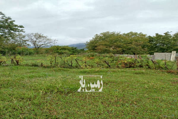 زمین مسکونی ۳۳۰ متر در شاندرمن روستای چاله سرا-1
