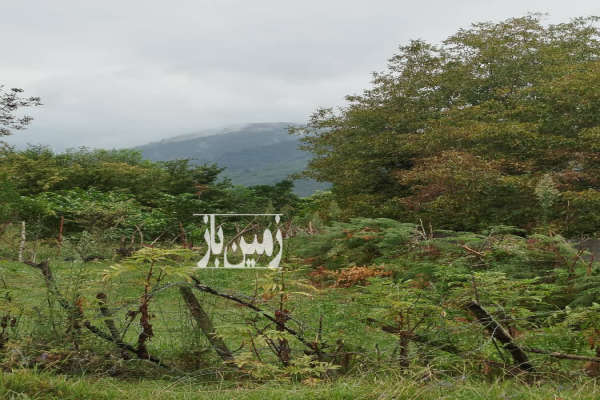 زمین مسکونی ۳۳۰ متر در شاندرمن روستای چاله سرا-2