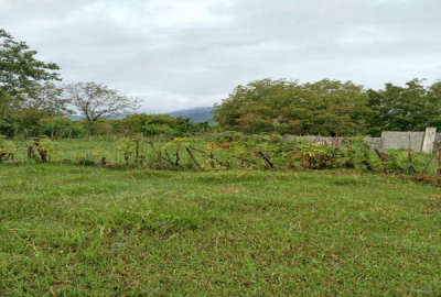 زمین مسکونی ۳۳۰ متر در شاندرمن روستای چاله سرا