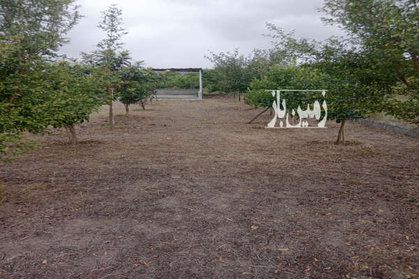 باغچه زیبا نقلی جاده نظامی روستای حاجی کلا ارزلو ۳۵۰ متر-2