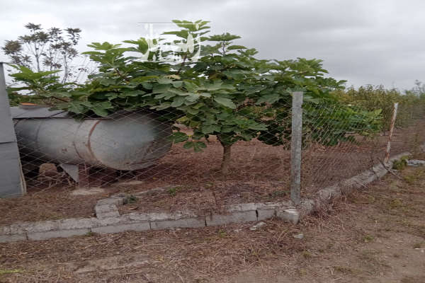 باغچه زیبا نقلی جاده نظامی روستای حاجی کلا ارزلو ۳۵۰ متر-3