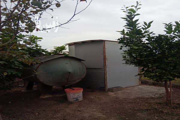 باغچه زیبا نقلی جاده نظامی روستای حاجی کلا ارزلو ۳۵۰ متر-4