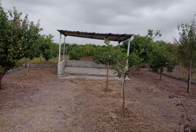 باغچه زیبا نقلی جاده نظامی روستای حاجی کلا ارزلو ۳۵۰ متر