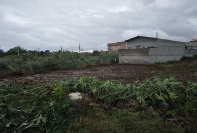 زمین مسکونی ۱۵۸ متر جاده بابلسر محله اسی کلا