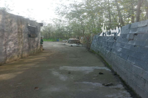 زمین ۸۰۰متری در لنگرود روستای شهدی آباد-3