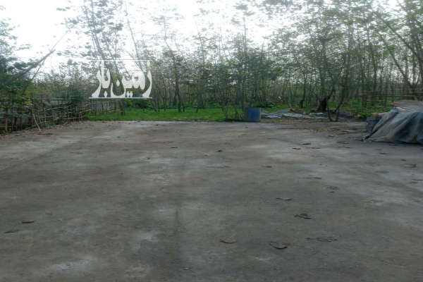 زمین ۸۰۰متری در لنگرود روستای شهدی آباد-4