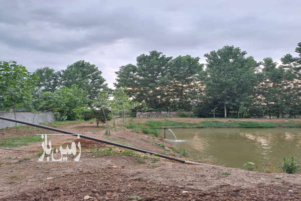 چهارده هزار متر زمین شالیزار و خشکی روستای چپی-2