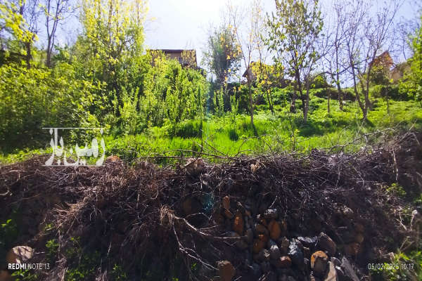 زمین در روستای سه هزار درجان ۳۰۰ متر-1