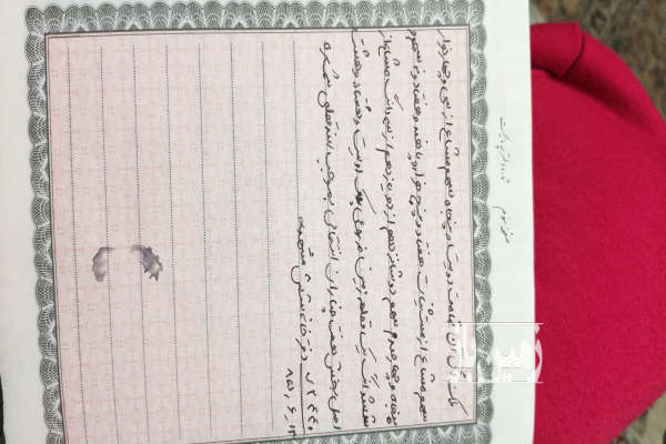 زمین مزروعی اراضی مهاباد ۲۵۰ متر-2