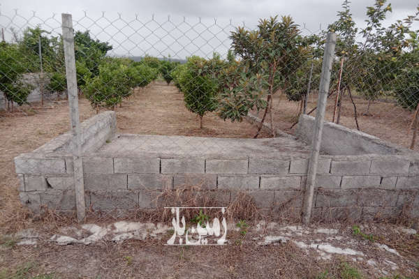 باغچه نقلی جاده نظامی روستای حاجی کلا ارزلو ۲۴۴ متر-1