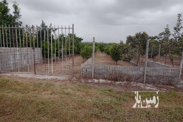 باغچه نقلی جاده نظامی روستای حاجی کلا ارزلو ۲۴۴ متر-2