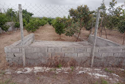 باغچه نقلی جاده نظامی روستای حاجی کلا ارزلو ۲۴۴ متر