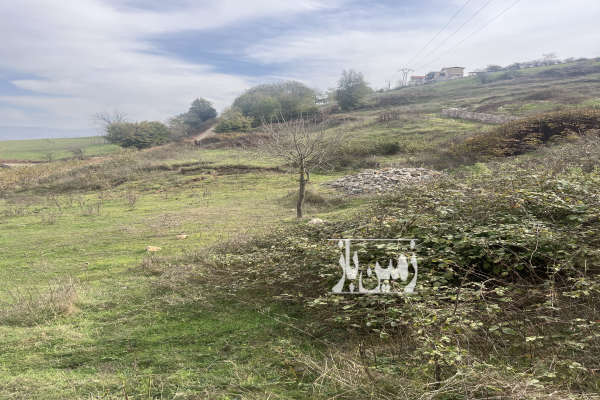 زمین ۵۰۰ متری روستای حشمت اباد رودبار-4
