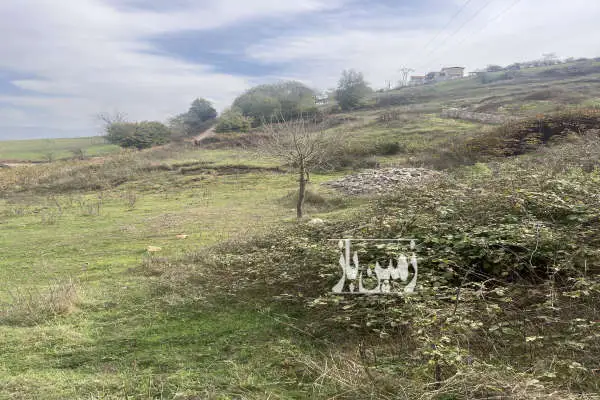 زمین ۵۰۰ متری روستای حشمت اباد رودبار - تصویر 4