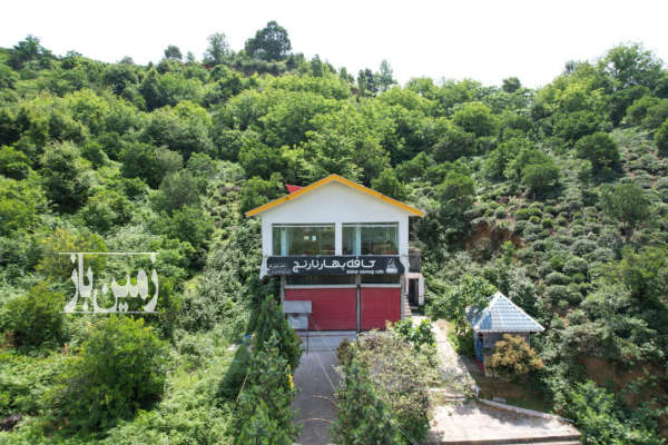 زمین تجاری مسکونی ۱۸۰۰متر ورودی نگین سبز کومله-1