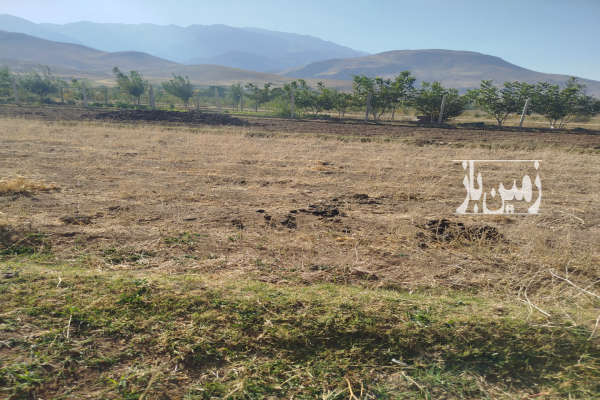 زمین کشاورزی در روستای سیاوش اباد ۵۰۰ متر-3