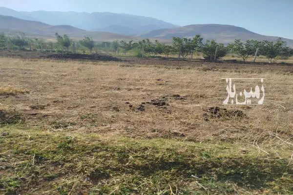 زمین کشاورزی در روستای سیاوش اباد ۵۰۰ متر - تصویر 2