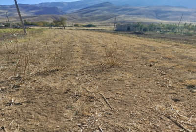 زمین کشاورزی در روستای سیاوش اباد ۵۰۰ متر