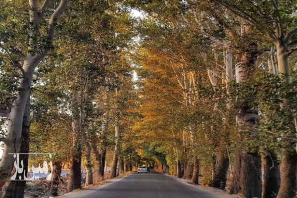 زمین ۲۵۰متری خوشنام ملارد برخیابان اصلی-1