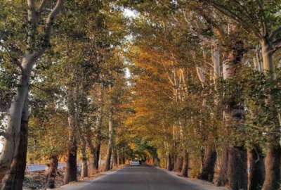 زمین ۲۵۰متری خوشنام ملارد برخیابان اصلی