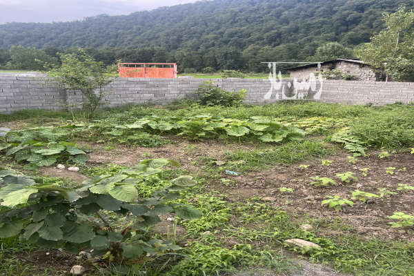 زمین ۲۳۵ متری روستای رزکه بعد از پلیس راه آمل-1