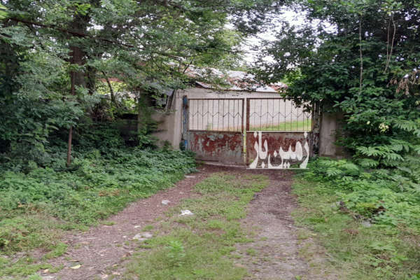 زمین در روستای پشتیر گوراب زرمیخ ۴۰۱۳ متر-3