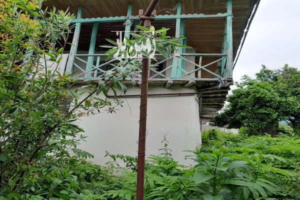 زمین در روستای پشتیر گوراب زرمیخ ۴۰۱۳ متر-4