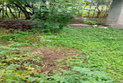 زمین ۲۰۰ متر جاده قلعه رودخان روستای مولسکام