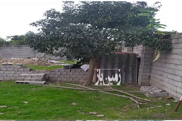 باغ ۵۲۵ متر در کمربندی امیرکلا خیابان هجدهم-1