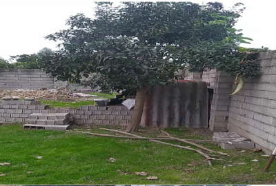 باغ ۵۲۵ متر در کمربندی امیرکلا خیابان هجدهم