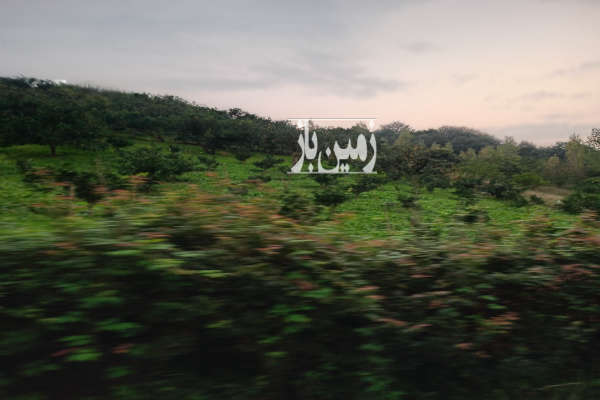 باغ مرکبات در قائمشهر روستای ریکنده ۲۵۰۰ متر-2