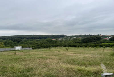 زمین داخل بافت ویو دار ۲۱۹ متر مرزناک