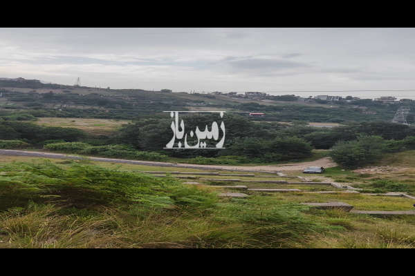 زمین ویلایی ویوو ابدی جفت جنگل ساری بالادزا ۲۶۵ متر-4